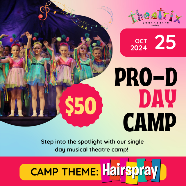 Pro-D-Camps-Hairspray